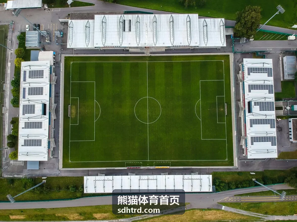 熊猫体育首页城市篮球联赛比赛现场
